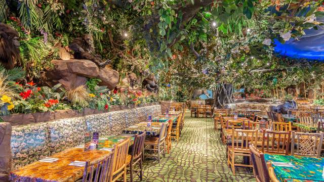 From the mall - Picture of Rainforest Cafe, Schaumburg - Tripadvisor