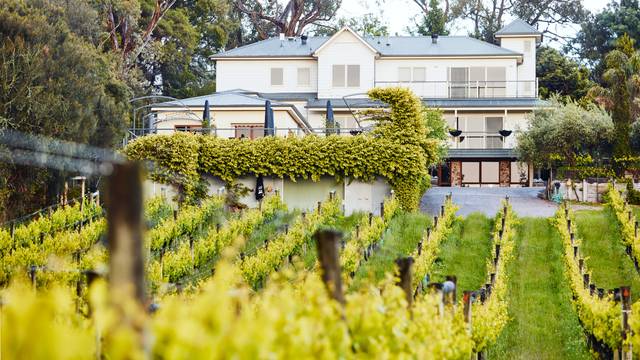 Una foto del restaurante Morning Sun Vineyard