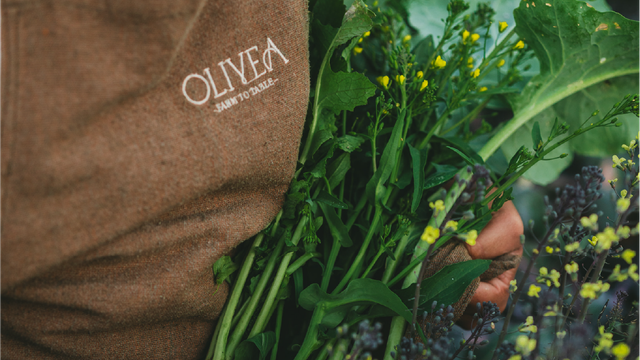 A photo of Olivea Farm to Table restaurant