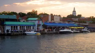A photo of Pusser's Caribbean Grille - Annapolis restaurant