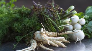 Japanese Radish Harvest "Dirt Dinner" photo