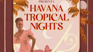 Havana Nights photo