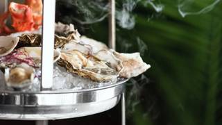 Half-Priced Oyster Happy Hour at Hugo’s Chicago photo