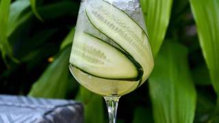 Bottomless Bubbles and Wine foto