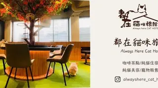 A photo of 都在貓咪旅館 restaurant