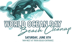 World Ocean Day Beach Cleanup-RSVP to help!� photo