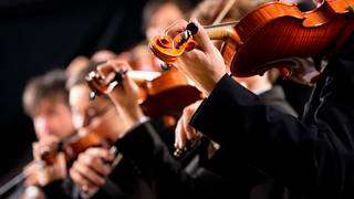 Orchestra by the Ocean - Lido Terrace photo