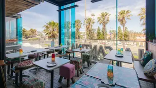 A photo of La Cantina Bondi Beach restaurant