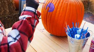 Pumpkin Painting + Dining Experience! photo