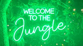 The Jungle Book - Weekends  £50pp (£10pp deposit) photo