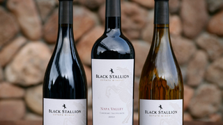 Black Stallion Estate Winery Tasting – November 12 photo