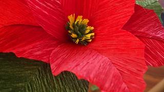 Paper Poinsettias & Pinot Craft Workshop photo