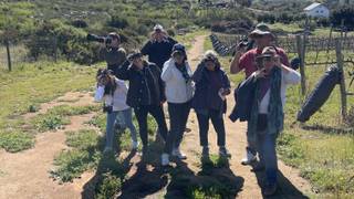 Birdwatching & Brunch photo