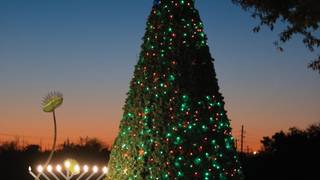 The Tree is Lit! photo