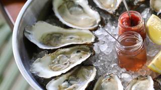 Shuck Mondays! $1.31 Oysters Foto