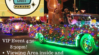 Twinkle Light Parade 2024 Photo