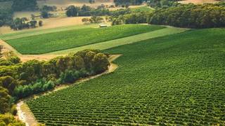 Australian Wine Dinner photo