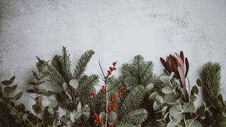 CELEBRA LA MAGIA DE LA NAVIDAD EN NECTAR foto