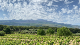 Etna Uncorked Sicilian Flavors and Wine photo