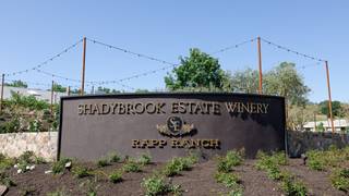 Shadybrook Estate Winemakers Dinner張相片