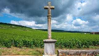 l'ecole de Cru 201: Burgundy Crus foto