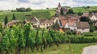 l'ecole de Cru 201: Burgundy Unwrapped photo