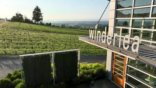 Winderlea Wine Dinner photo