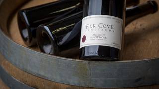 Elk Cove Wine Dinner photo