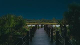 Dinner Under the Stars photo