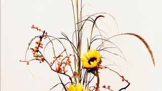 Discover the Art of Japanese Flower Arrangement photo