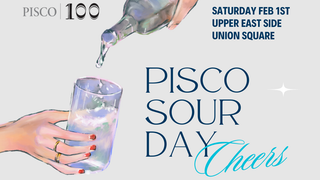 MAKE YOUR OWN PISCO SOUR - MIXOLOGY WORKSHOP photo