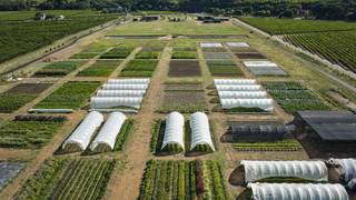 Complimentary Farm Tour of SingleThread Farm foto