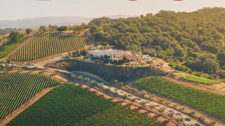 DAOU Vineyards Wine Dinner photo