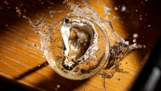 Shuck Me! £1 Oyster Happy Hour張相片