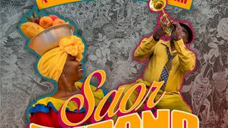 Saor Cubano: A Venetian Carnival Affair foto