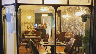 Une photo du restaurant The Stubborn Duckling