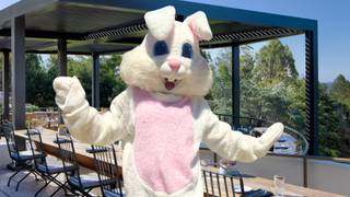 Easter Sunday Brunch at Chaminade Resort and Spa foto