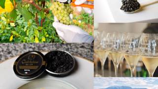 Caviar Dinner with Castello Bonomi Franciacorta張相片