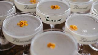 Botanicals in Bloom: A Secret Garden Speakeasy Foto