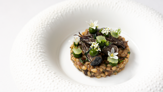 London Restaurant Festival Set Menu Photo