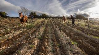 写真（Biodynamic Wines Tasting followed by Live Music）