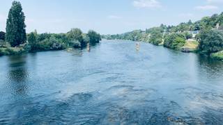 Exploring the Loire Valley with Pascaline: Chenin foto