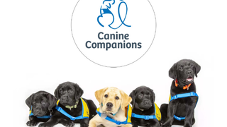 Canine Companions - Open House [Pre-Paid] photo