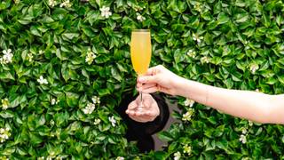 Brunch & Bubbles: Ring for a Mimosa photo