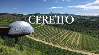 Barolo & Beyond: A Ceretto Wine Journey photo