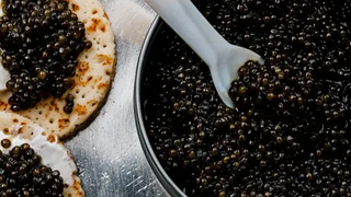 Predalina Tasting Series | Caviar photo