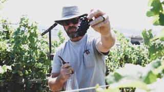 Winemaker Tasting: Explore Pali Vineyard foto