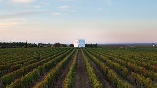 An evening with Esporão- Summer Wine Dinner Series foto