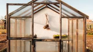 Kitchen Garden Experience - The Scenic Supper foto