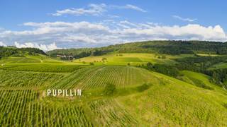 Wine Tasting: "Jurassic Jura" Foto